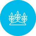 Хирургическая точность на скорости